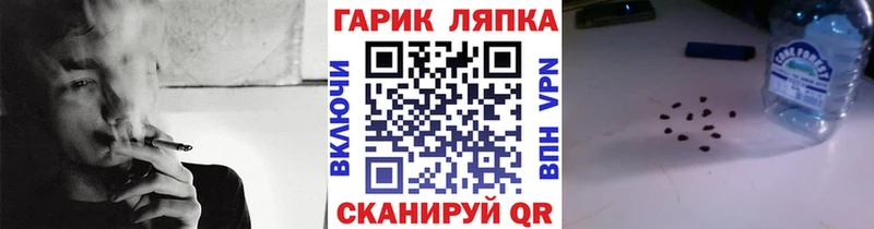 MEGA зеркало где купить наркоту Богородицк Гашиш Premium