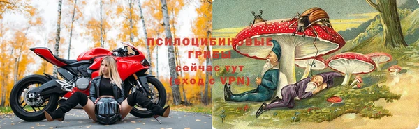 трава Баксан