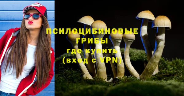 МДПВ Балахна