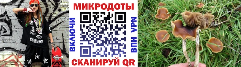 Псилоцибиновые грибы Psilocybine cubensis Богородицк