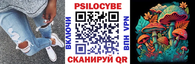 купить закладку  Богородицк  Галлюциногенные грибы GOLDEN TEACHER 