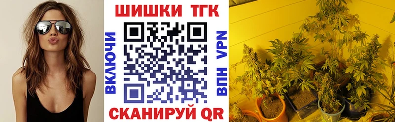 Каннабис Amnesia  где купить наркоту  Богородицк 
